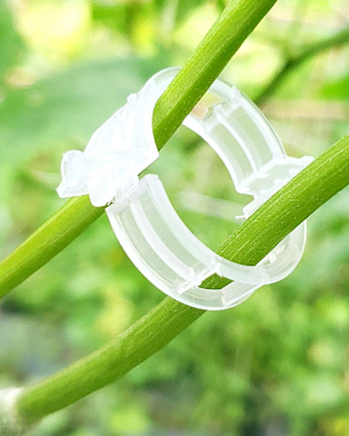 50 Clips de soporte para plantas