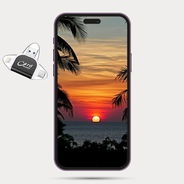 Lector De Tarjetas Multiinterfaz