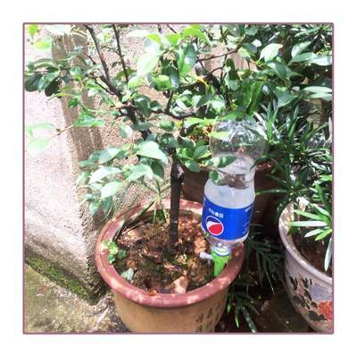 SISTEMA DE CONTROL AUTOMÁTICO DE RIEGO DE AGUA