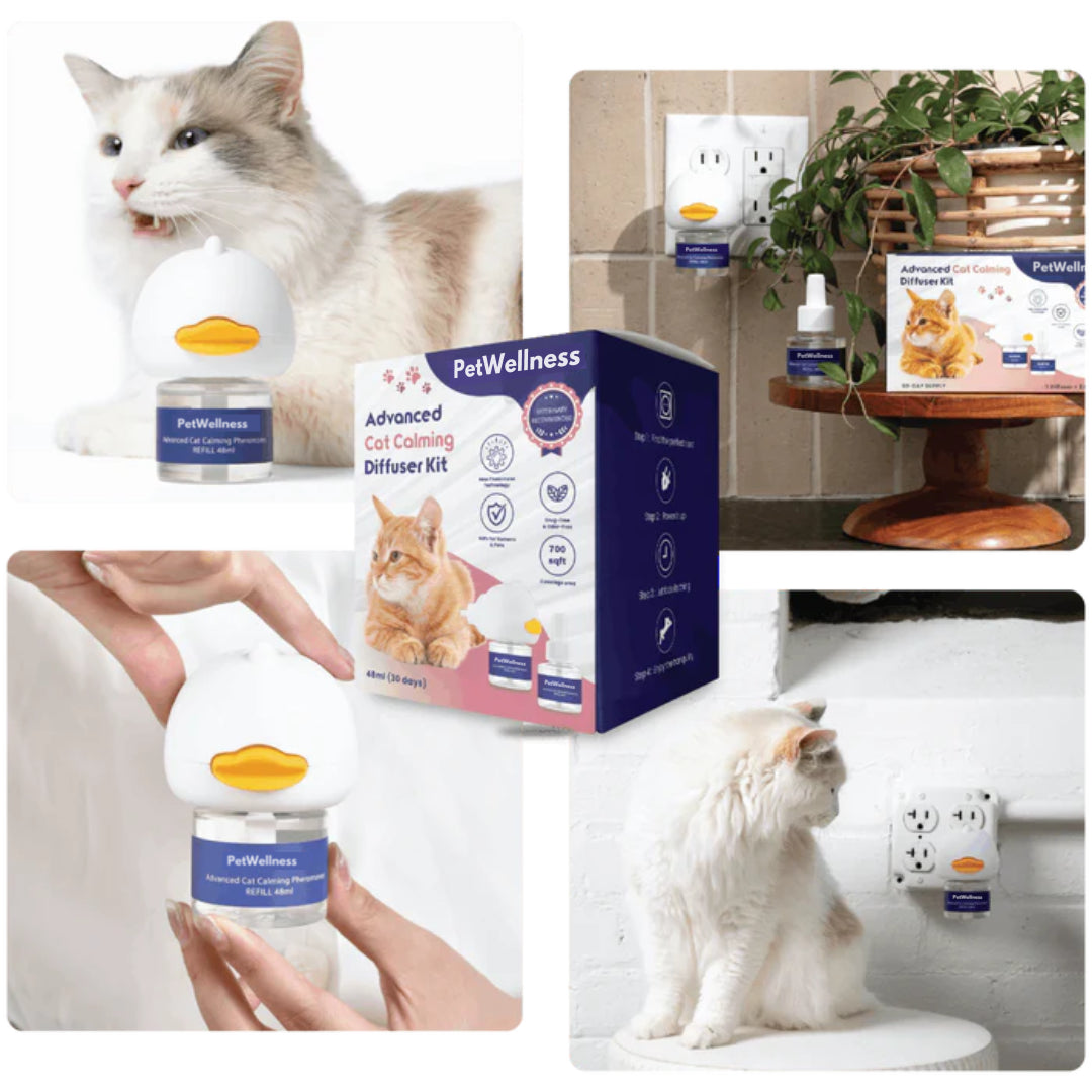 Difusor de feromonas calmantes para gatos