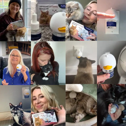 Difusor de feromonas calmantes para gatos