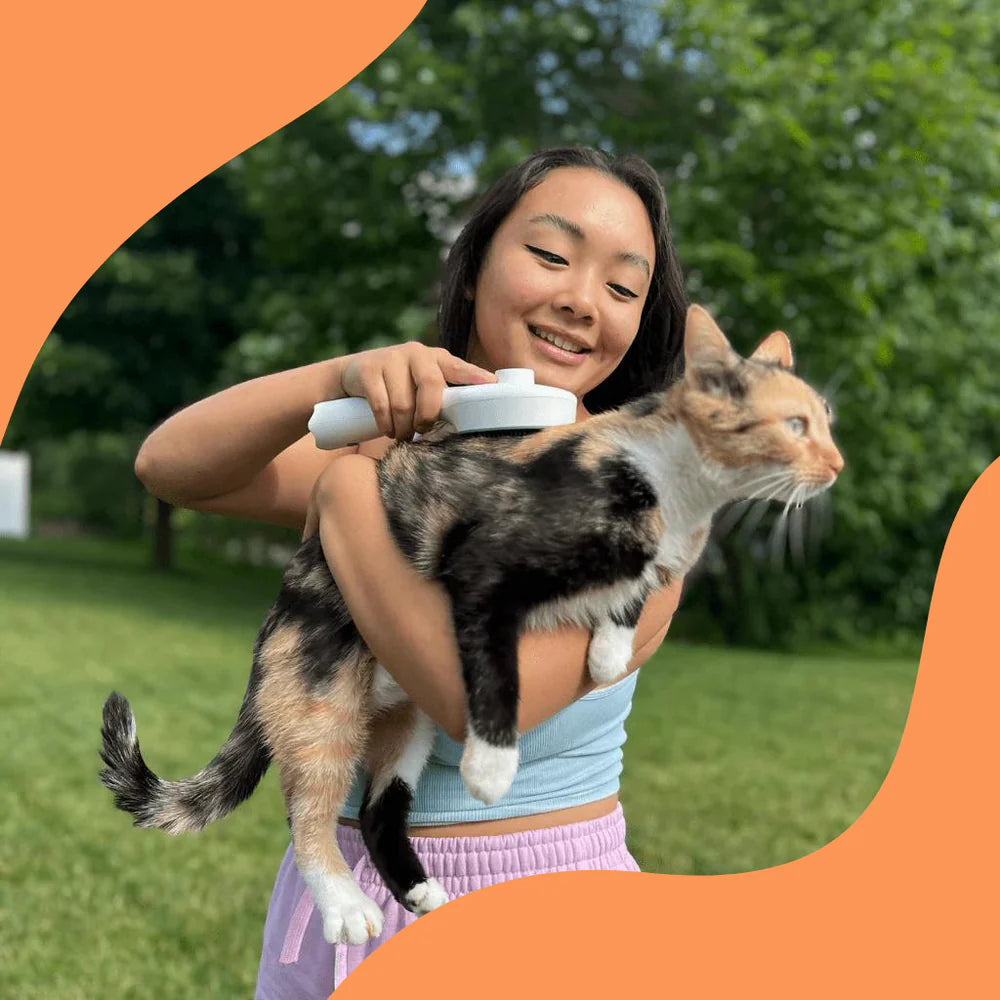 LUXBRUSH® cepillo UV para garrapatas - mejora la calidad del pelaje