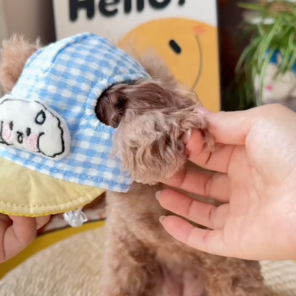 CONJUNTOS de arnés, collar y gorrito para perros