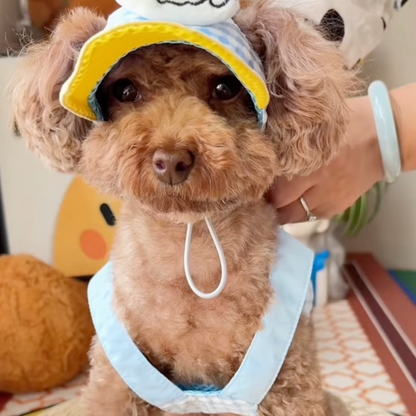 CONJUNTOS de arnés, collar y gorrito para perros