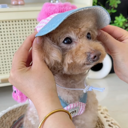 CONJUNTOS de arnés, collar y gorrito para perros