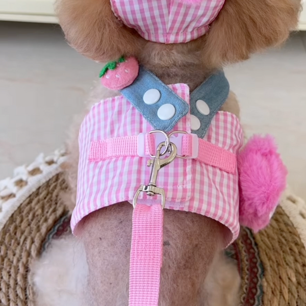 CONJUNTOS de arnés, collar y gorrito para perros