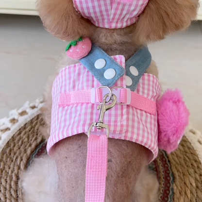 CONJUNTOS de arnés, collar y gorrito para perros
