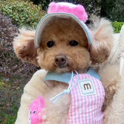 CONJUNTOS de arnés, collar y gorrito para perros