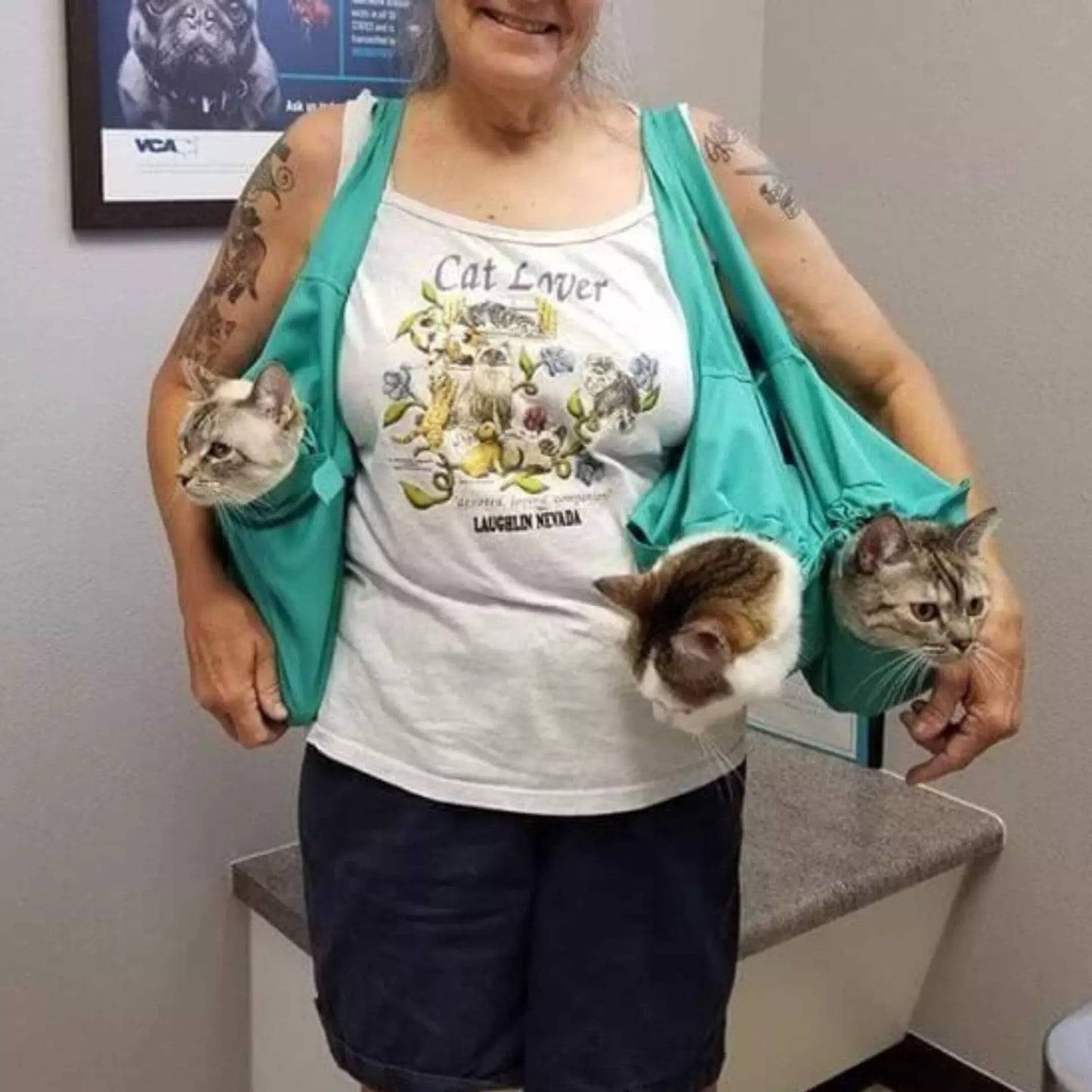 Bolsa porta gatos antiansiedad antiarañazos