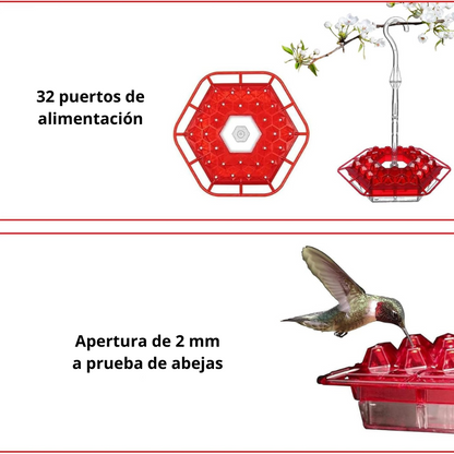 Birdfree Comedero para colibríes colgantes para exteriores