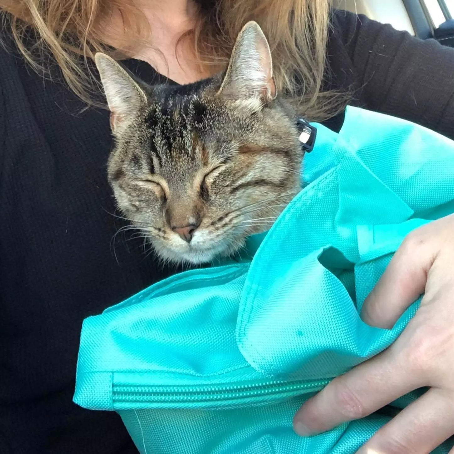 Bolsa porta gatos antiansiedad antiarañazos