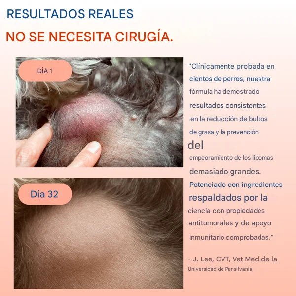 Probiótico de cola de pavo