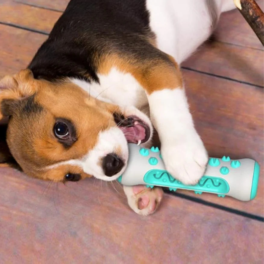 Hueso para perritos dientes sanos