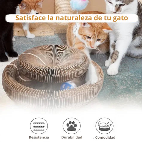 Rascador para Gatos con varias formas | MichiCat