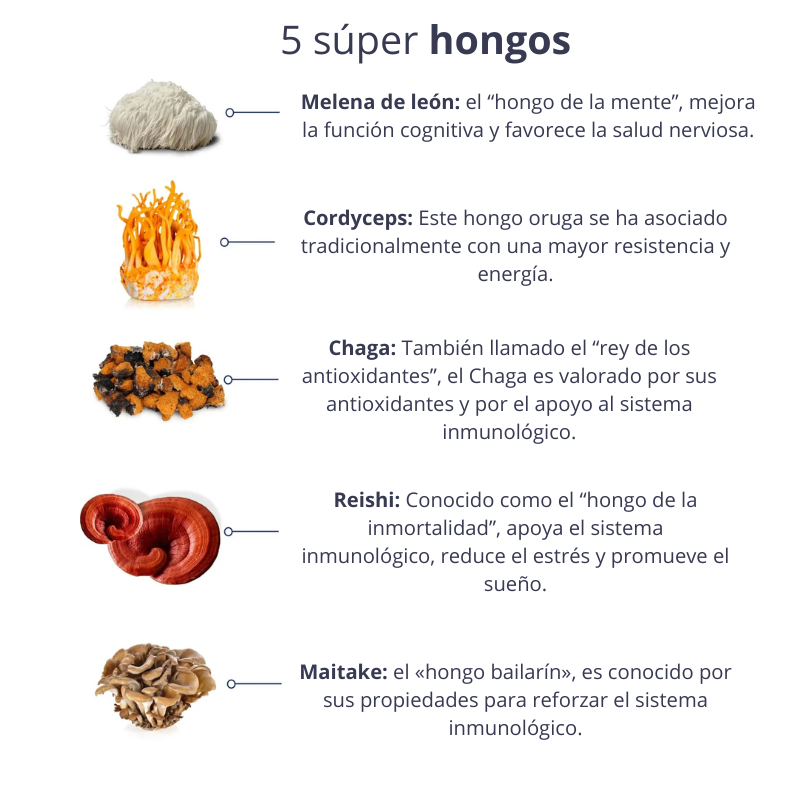 Clearly Not Coffee - Impulso equilibrado de energía y concentración