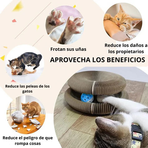 Rascador para Gatos con varias formas | MichiCat