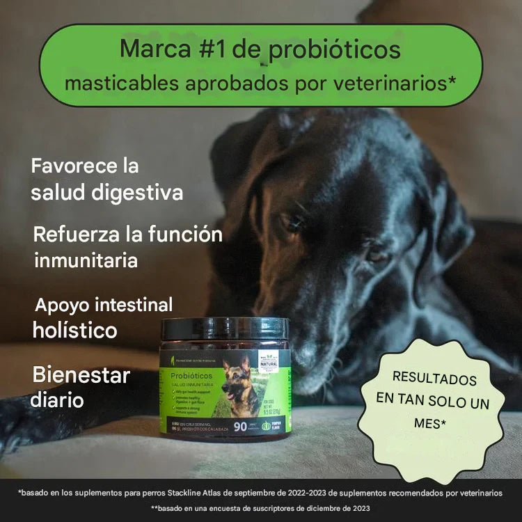Probióticos digestivos Pet Honesty