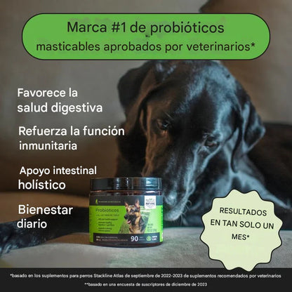 Probióticos digestivos Pet Honesty