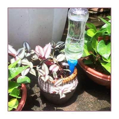 SISTEMA DE CONTROL AUTOMÁTICO DE RIEGO DE AGUA