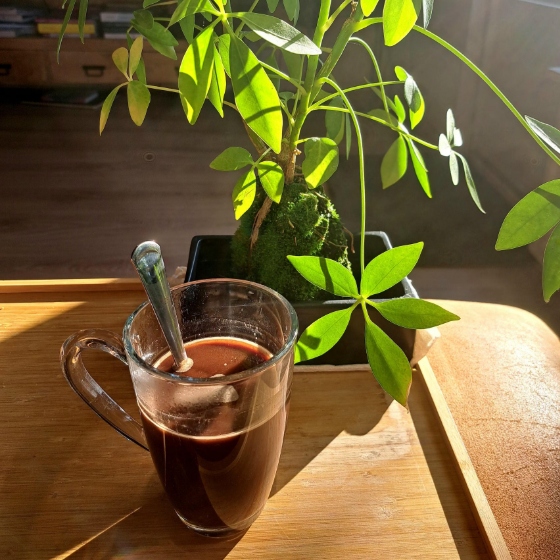 Clearly Not Coffee - Impulso equilibrado de energía y concentración