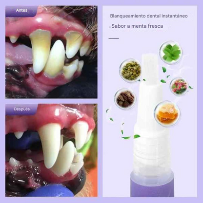 Gel reparador bucal para mascotas MuzzleGlow