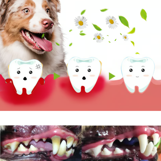 Gel reparador bucal para mascotas MuzzleGlow