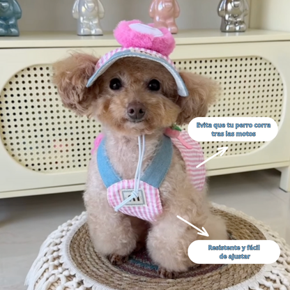 CONJUNTOS de arnés, collar y gorrito para perros