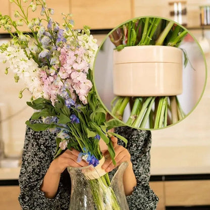 Soporte de tallo de Ikebana en espiral para arreglo floral 💐