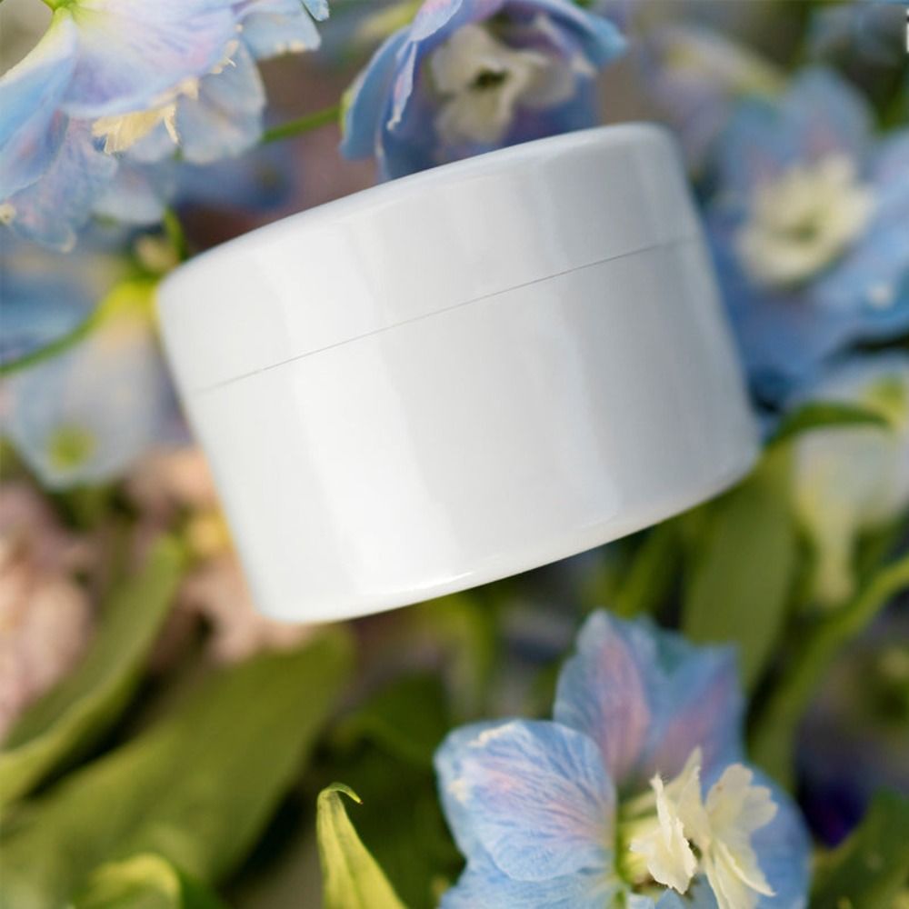 Soporte de tallo de Ikebana en espiral para arreglo floral 💐