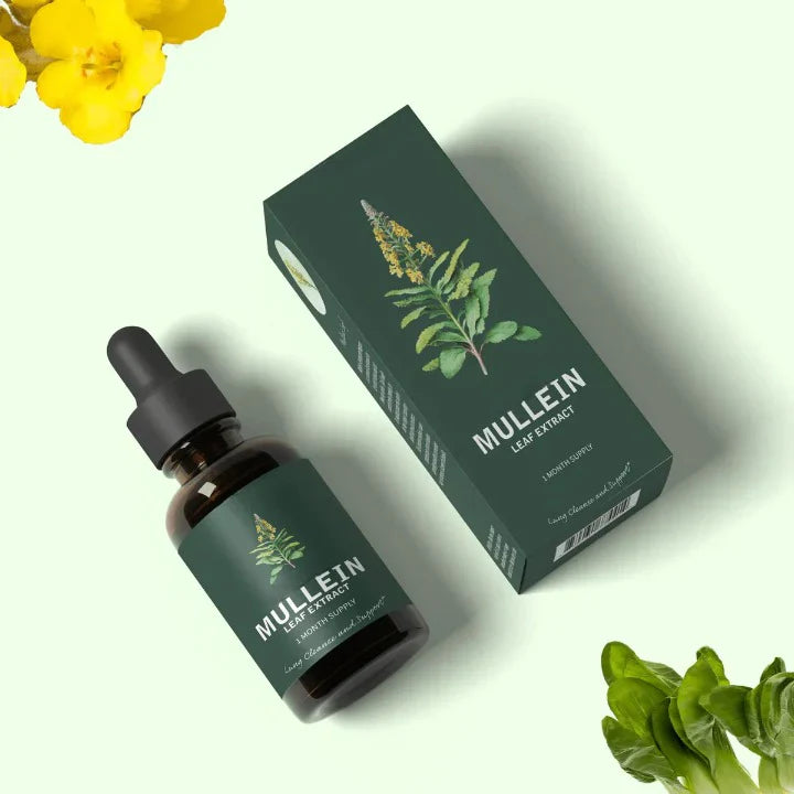 Gotas suplemento  de extracto de hoja de Mullein + de clorofila para pulmones
