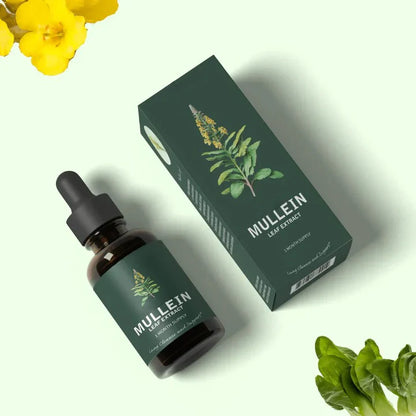 Gotas suplemento  de extracto de hoja de Mullein + de clorofila para pulmones