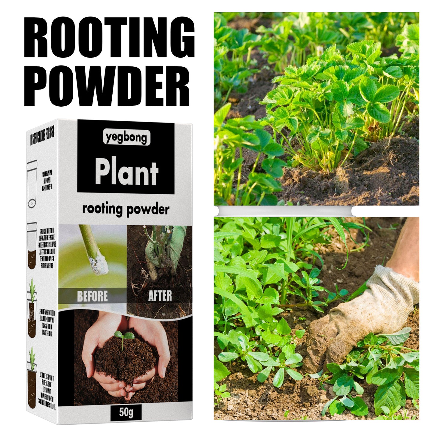 Enraizante Polvo estimulante de crecimiento de plantas