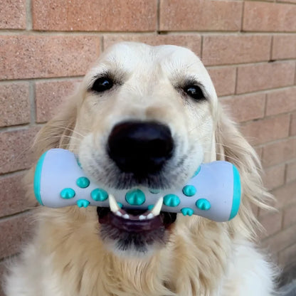 Hueso para perritos dientes sanos