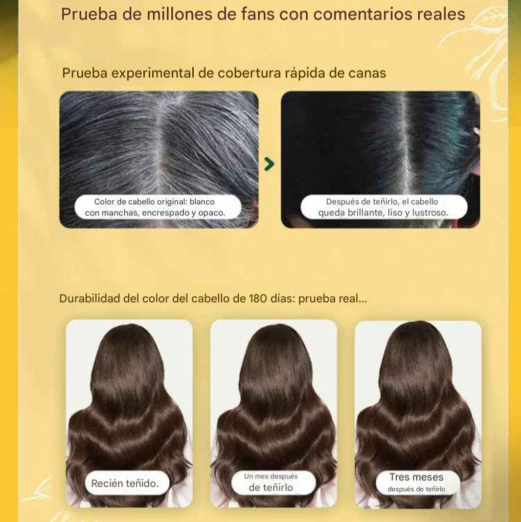 Champú japonés de tinte natural de larga duración (🎁Paga 1 lleva 2)