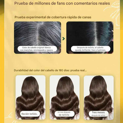 Champú japonés de tinte natural de larga duración (🎁Paga 1 lleva 2)