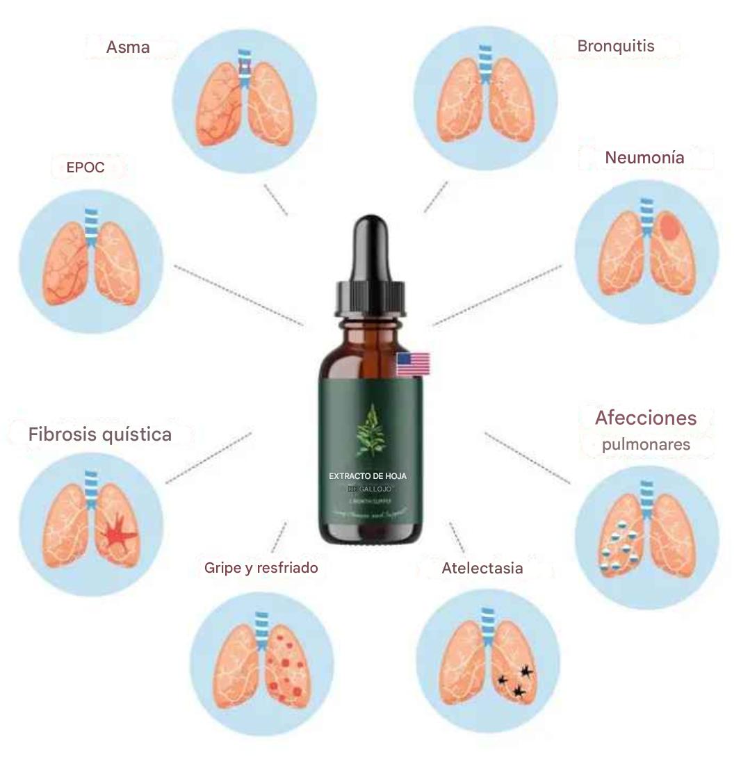 Gotas suplemento  de extracto de hoja de Mullein + de clorofila para pulmones